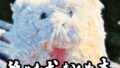 hitomi hentai raw 舐めた犬まとめ本